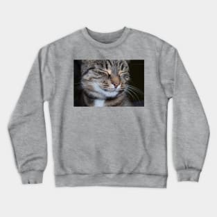 smiling cat Crewneck Sweatshirt